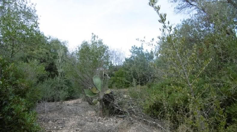 Castellon - Vall d'Alba - 2881m2