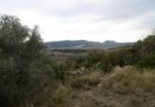 Casa de camp amb terreny en venda a la España, la Vall d'Alba, ref.: TR316746 foto