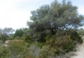 Casa de camp amb terreny en venda a la España, la Vall d'Alba, ref.: TR316746 foto