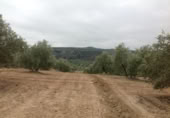 Terreny no urbanitzable en venda a la España, Lucena, ref.: TR241743 foto