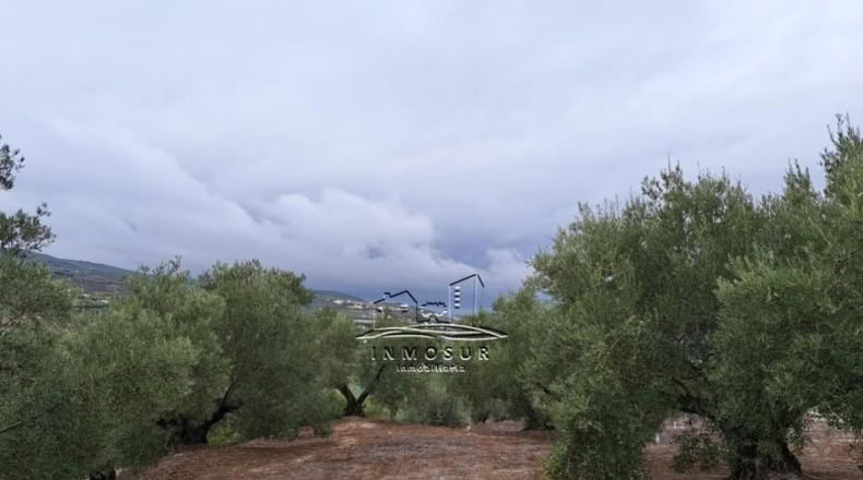 Córdoba - Lucena - 5740m2