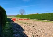 Non-developable land for sale on España, Arlanzón, ref: TR241741 photo
