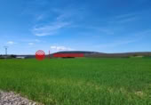 Non-developable land for sale on España, Arlanzón, ref: TR241741 photo
