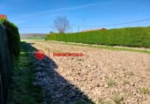 Non-developable land for sale on España, Arlanzón, ref: TR241741 photo