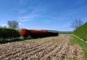 Non-developable land for sale on España, Arlanzón, ref: TR241741 photo