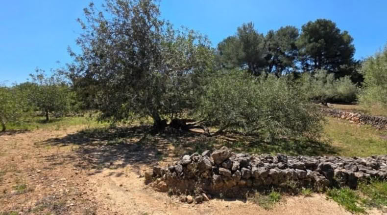 Tarragona - el Perelló - 4969m2