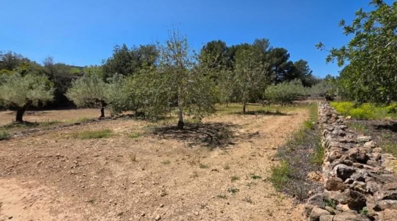 Tarragona - el Perelló - 4969m2