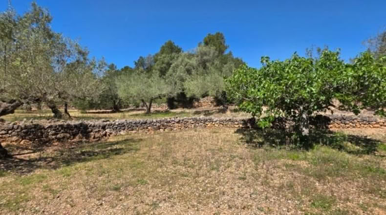 Tarragona - el Perelló - 4969m2
