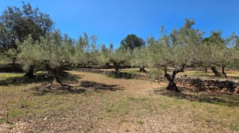 Tarragona - el Perelló - 4969m2