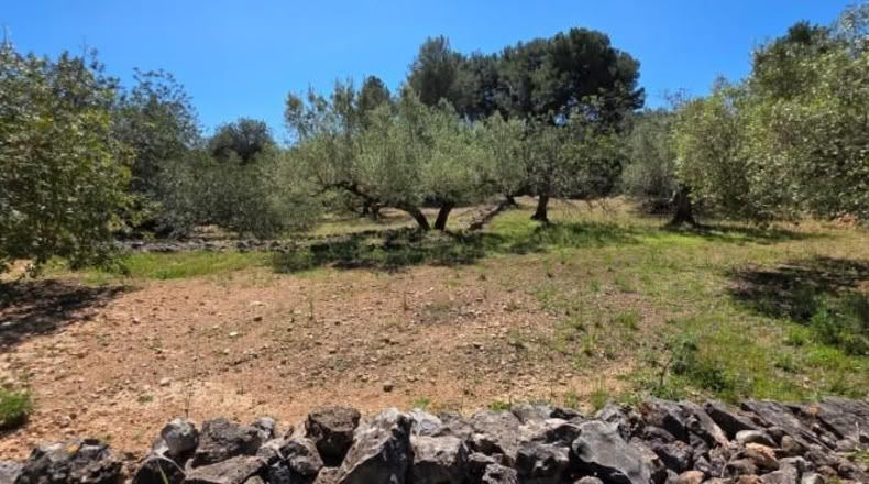 Tarragona - el Perelló - 4969m2