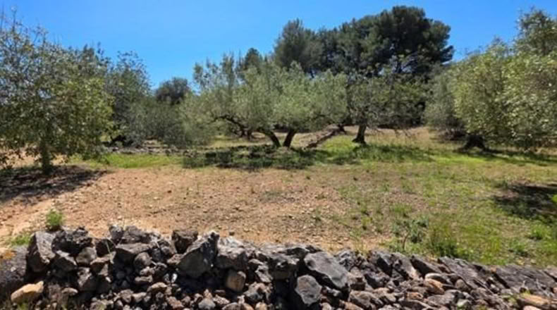 Tarragona - el Perelló - 4969m2