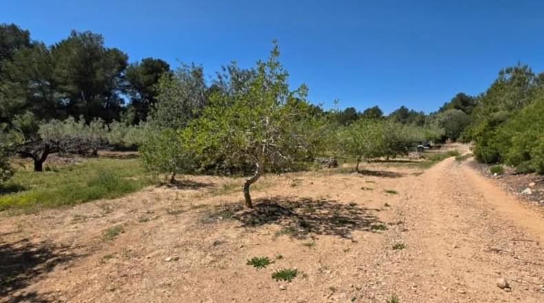 Tarragona - el Perelló - 4969m2