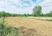 Suelo urbano en venta en la España, Sancedo, ref: TR283472 foto