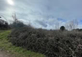 Xalet independent amb terreny en venda a la España, Ponferrada, ref.: TR291257 foto