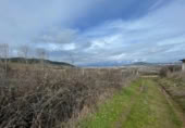 Xalet independent amb terreny en venda a la España, Ponferrada, ref.: TR291257 foto