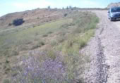 Terreno no urbanizable en venta en la España, El Molar, ref: TR357079 foto