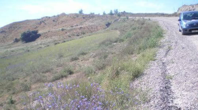 Comunidad de Madrid - El Molar - 2500m2
