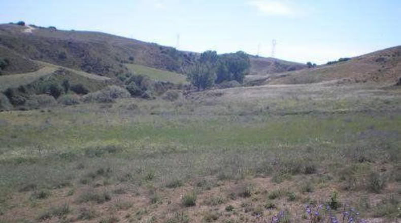 Comunidad de Madrid - El Molar - 2500m2