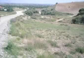 Terreno no urbanizable en venta en la España, El Molar, ref: TR357079 foto