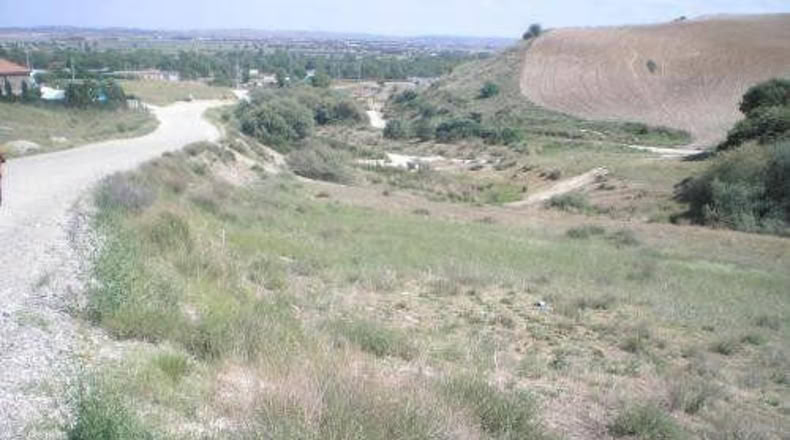 Comunidad de Madrid - El Molar - 2500m2