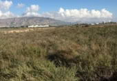 Terreny no urbanitzable en venda a la España, Alhama de Murcia, ref.: TR307110 foto