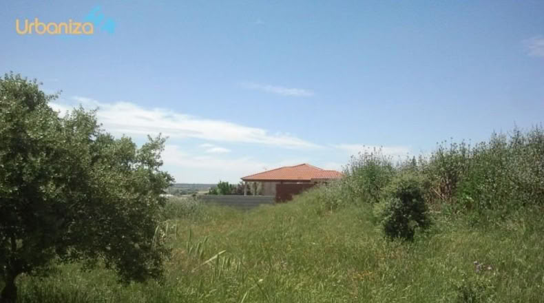 Badajoz - Badajoz - 1250m2
