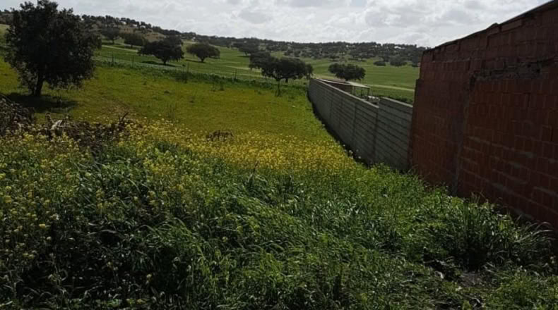Badajoz - Badajoz - 1250m2