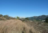 Non-developable land for sale on España, Castelló de Rugat, ref: TR321658 photo