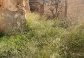 Urban land for sale on España, Casas-Ibáñez, ref: TR175561 photo
