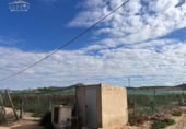 Terreny no urbanitzable en venda a la España, Montfort, ref.: TR177451 foto