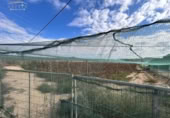 Terreny no urbanitzable en venda a la España, Montfort, ref.: TR177451 foto