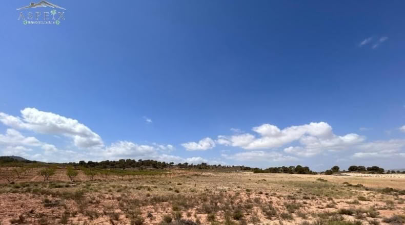 Murcia - Jumilla - 26003m2