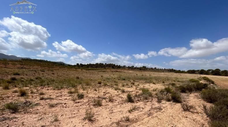 Murcia - Jumilla - 26003m2