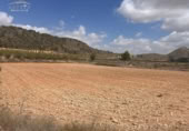 Parcel·la urbanitzable en venda a la España, Jumella, ref.: TR165885 foto