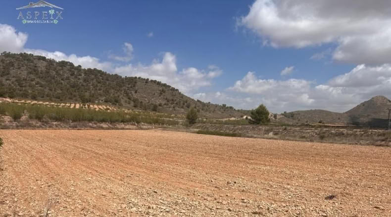 Murcia - Jumilla - 26003m2