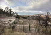 Земля на продажу у города Cieza Фото