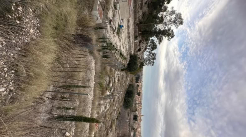 Múrcia - Cieza - 2000m2