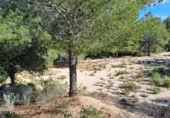 Terreno no urbanizable en venta en la España, Maspujols, ref: TR129824 foto