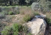 Terreno no urbanizable en venta en la España, Maspujols, ref: TR129824 foto