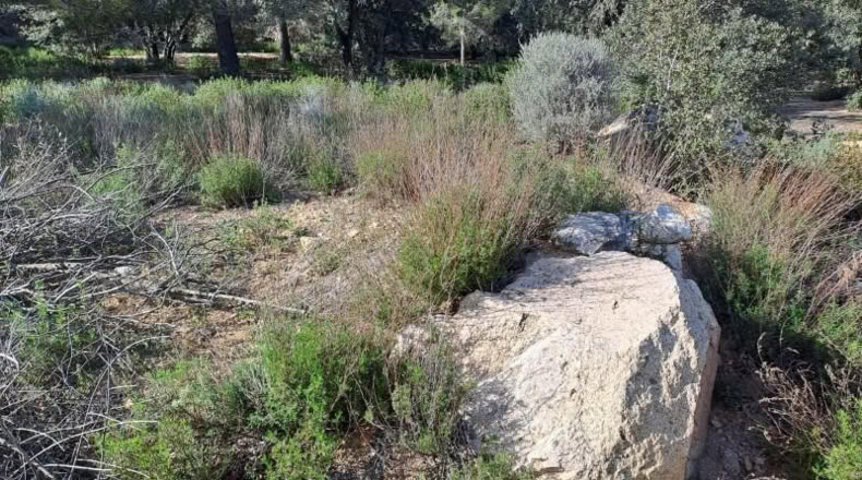 Tarragona - Maspujols - 10908m2