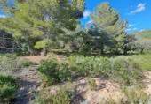 Terreno no urbanizable en venta en la España, Maspujols, ref: TR129824 foto