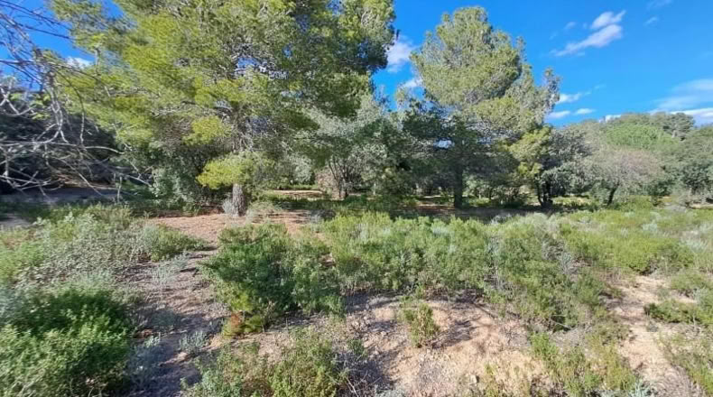 Tarragona - Maspujols - 10908m2