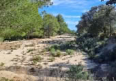 Terreno no urbanizable en venta en la España, Maspujols, ref: TR129824 foto