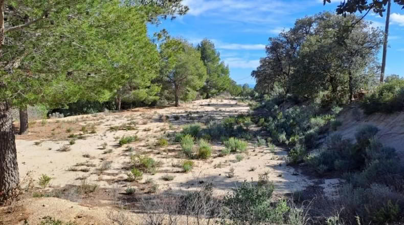 Tarragona - Maspujols - 10908m2