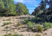 Terreno no urbanizable en venta en la España, Maspujols, ref: TR129824 foto