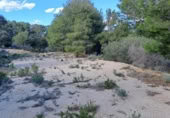 Terreno no urbanizable en venta en la España, Maspujols, ref: TR129824 foto