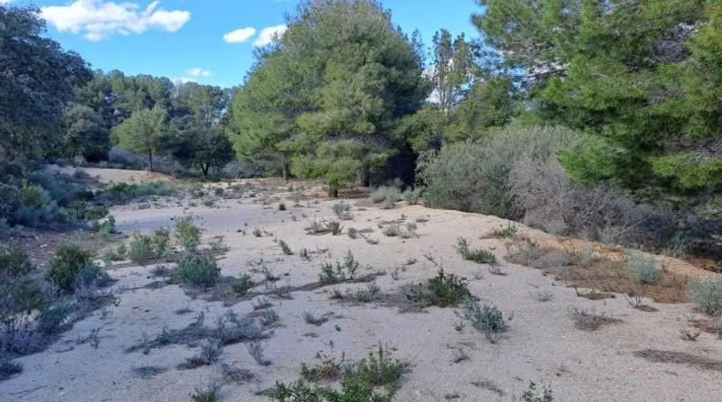 Tarragona - Maspujols - 10908m2