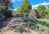 Terreno no urbanizable en venta en la España, Maspujols, ref: TR129824 foto
