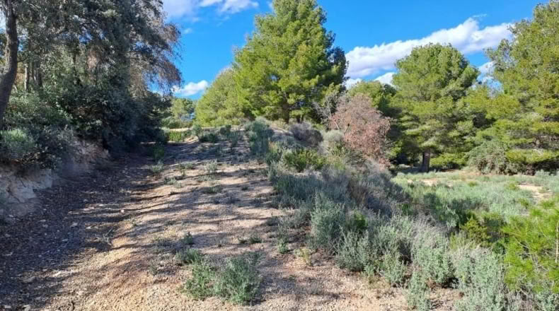 Tarragona - Maspujols - 10908m2