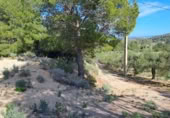 Terreno no urbanizable en venta en la España, Maspujols, ref: TR129824 foto